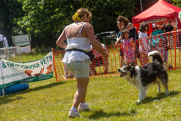 495_PAWSFunday2018_craigshawphoto