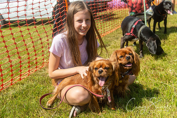 544_PAWSFunday2018_craigshawphoto