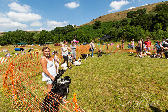 556_PAWSFunday2018_craigshawphoto