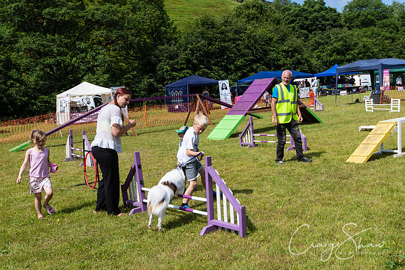 3_PAWSFunday2018_craigshawphoto