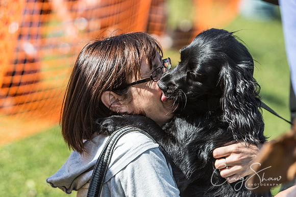 2306_K9Partyinthepark2014_RSPCAHalifax_bluplanetphoto