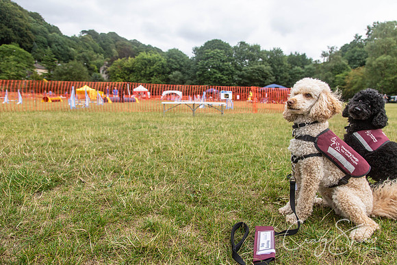 41_HebdensHappyHounds2018_craigshawphoto