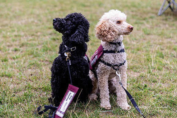 47_HebdensHappyHounds2018_craigshawphoto