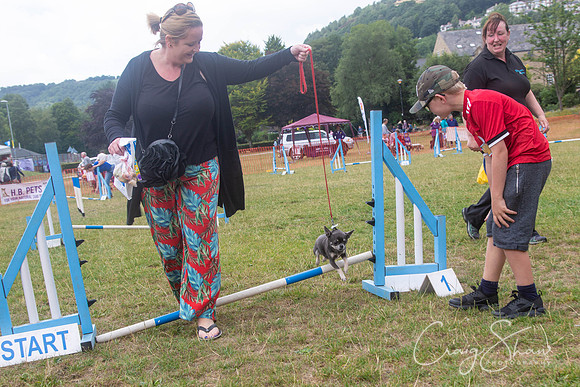 314_HebdensHappyHounds2018_craigshawphoto