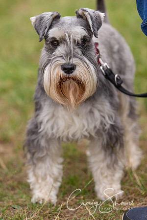 319_HebdensHappyHounds2018_craigshawphoto
