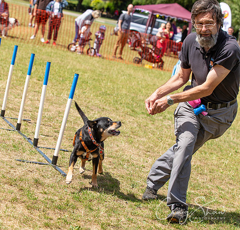 764_HebdensHappyHounds2018_craigshawphoto