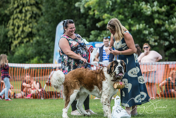 1598_K9Partyinthepark2014_RSPCAHalifax_bluplanetphoto