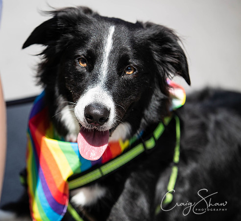 1034_Saturday_HappyValleyPride2018_craigshawphoto
