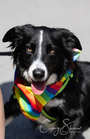 1040_Saturday_HappyValleyPride2018_craigshawphoto