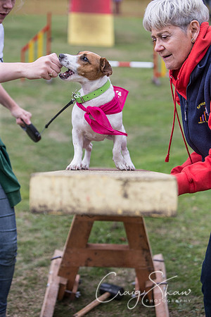 716_BarkintheParkHuddersfield_2014_bluplanetphoto