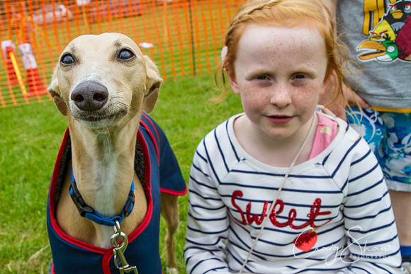 RSPCA Dog Day Afternoon