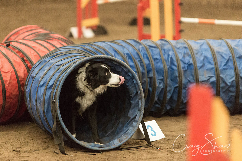 3223_SpringFling2014_bluplanetphoto