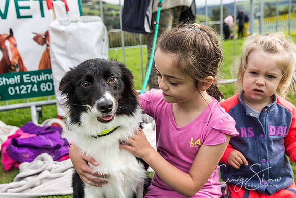 271_Woofstock2016_craigshaw