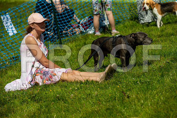 2426__PAWSFundogShow_July2022_cshaw