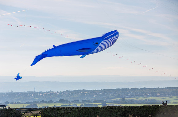 114_FlyKiteFestival2018_handmadeparade_craigshaw