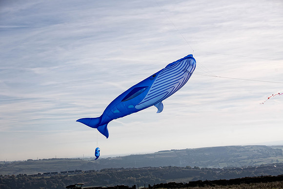 175_FlyKiteFestival2018_handmadeparade_craigshaw