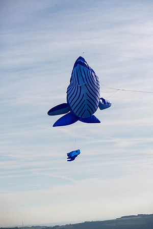 179_FlyKiteFestival2018_handmadeparade_craigshaw
