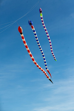 193_FlyKiteFestival2018_handmadeparade_craigshaw