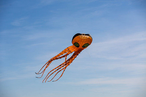 326_FlyKiteFestival2018_handmadeparade_craigshaw