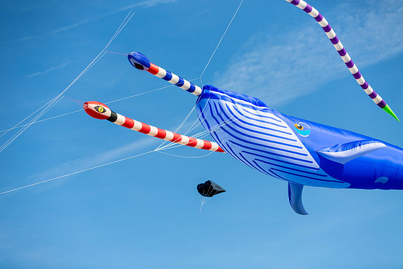 476_FlyKiteFestival2018_handmadeparade_craigshaw