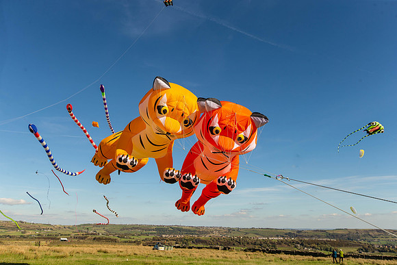 1818_FlyKiteFestival2018_handmadeparade_craigshaw