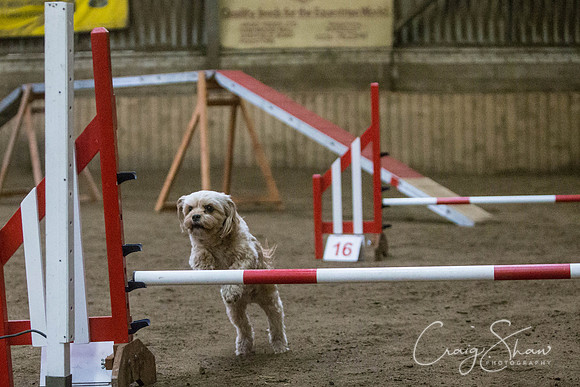 1668_springfling2015_bluplanetphoto