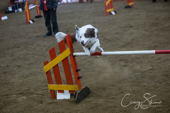 1769_springfling2015_bluplanetphoto