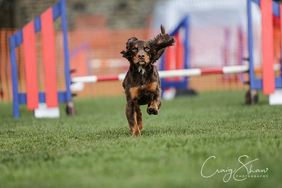 442__SpringersFunDay_March2014_bluplanetphoto