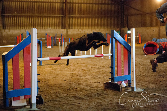 spring fling 2012-1097