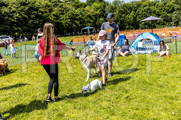 1592__PAWSFundogShow_July2022_cshaw