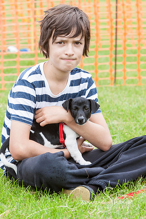 RSPCA Dog Day Afternoon