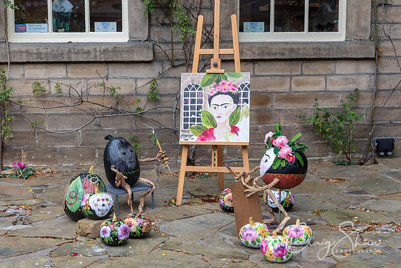 66_271018_craigshaw