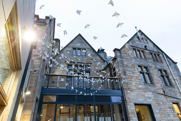 58_TheWhiteBirdProject_craigshaw