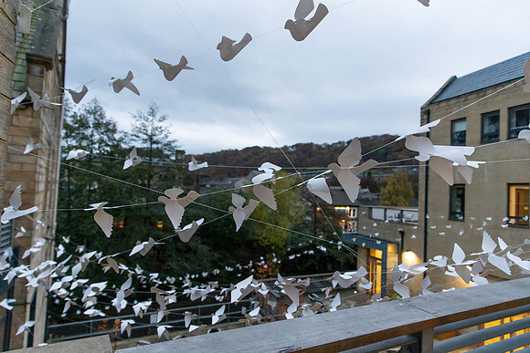 64_TheWhiteBirdProject_craigshaw