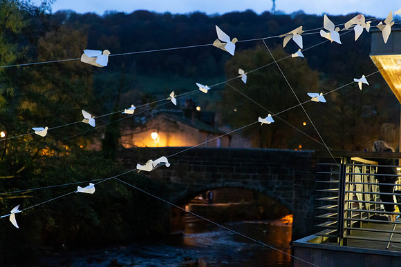 169_TheWhiteBirdProject_craigshaw