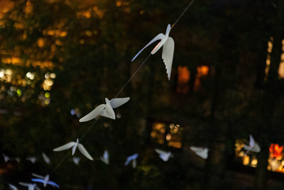190_TheWhiteBirdProject_craigshaw