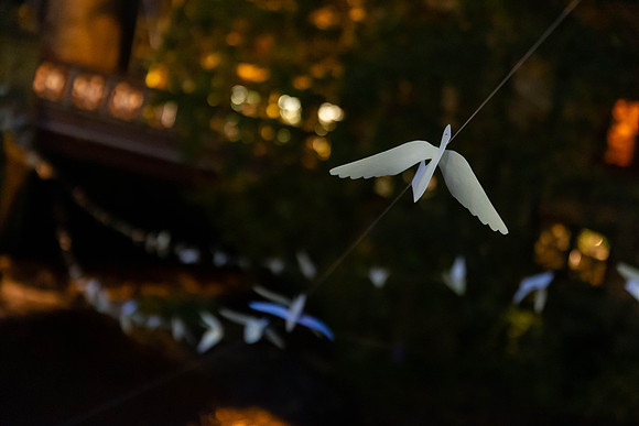 194_TheWhiteBirdProject_craigshaw