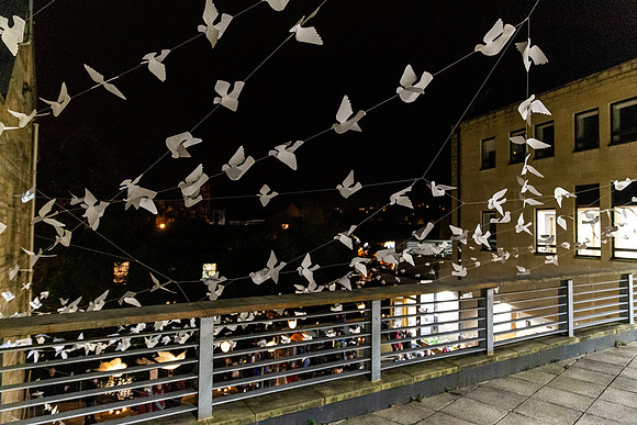 548_TheWhiteBirdProject_craigshaw