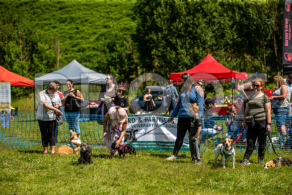 1626__PAWSFundogShow_July2022_cshaw