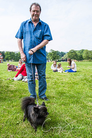 RSPCA Dog Day Afternoon