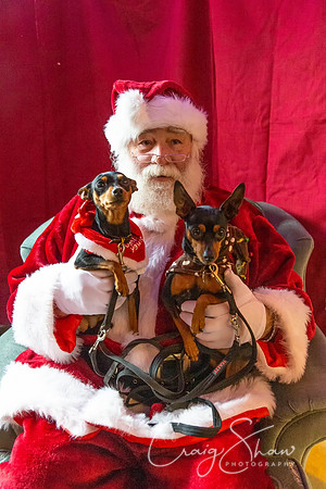 62_PAWSXmasFair2018_craigshaw-Edit