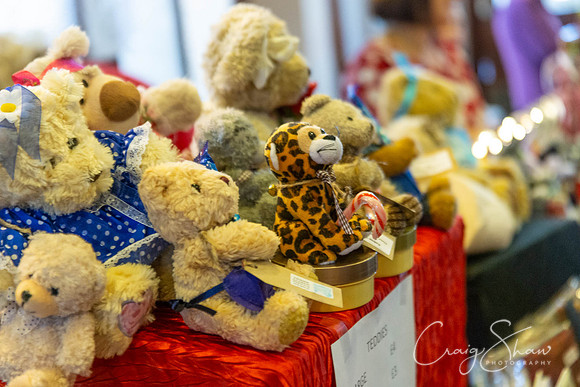 103_PAWSXmasFair2018_craigshaw