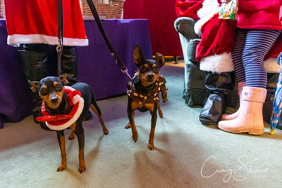 269_PAWSXmasFair2018_craigshaw