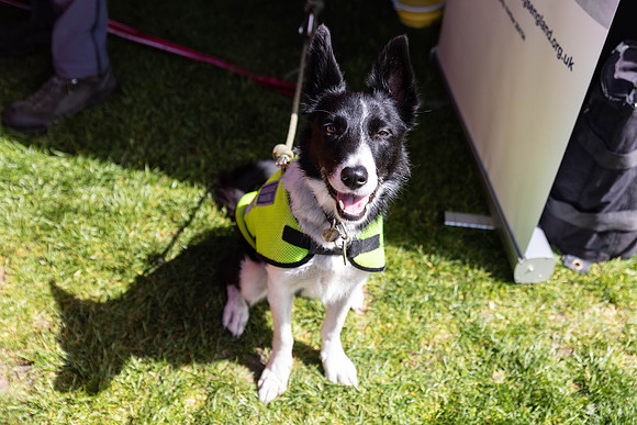 182__HebdensHappyHounds2022_May2022_cshaw