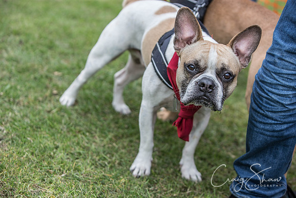 484_BarkintheParkHuddersfield_2014_bluplanetphoto