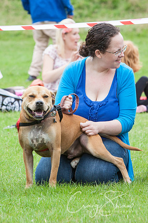 RSPCA Dog Day Afternoon