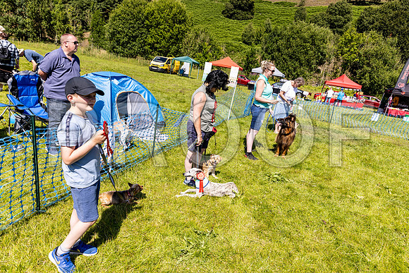2560__PAWSFundogShow_July2022_cshaw
