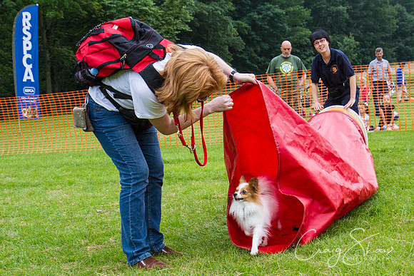 RSPCA Dog Day Afternoon