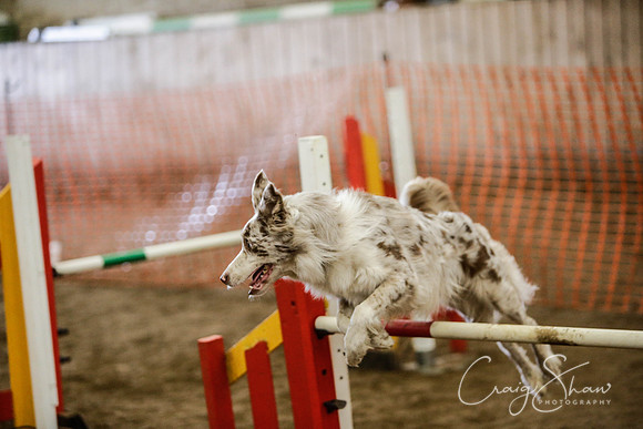 116_SpringFling2014_bluplanetphoto