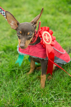 532_Woofstock2016_craigshaw